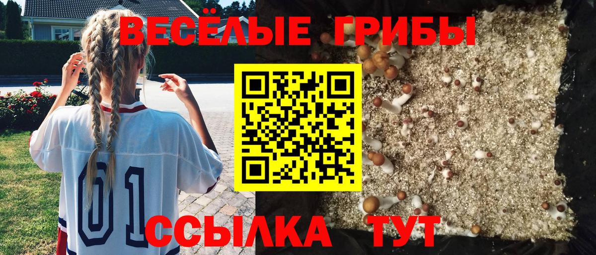 Галлюциногенные грибы Cubensis  Галлюциногенные грибы GOLDEN TEACHER  сколько стоит  Вход с VPN  Уссурийск 